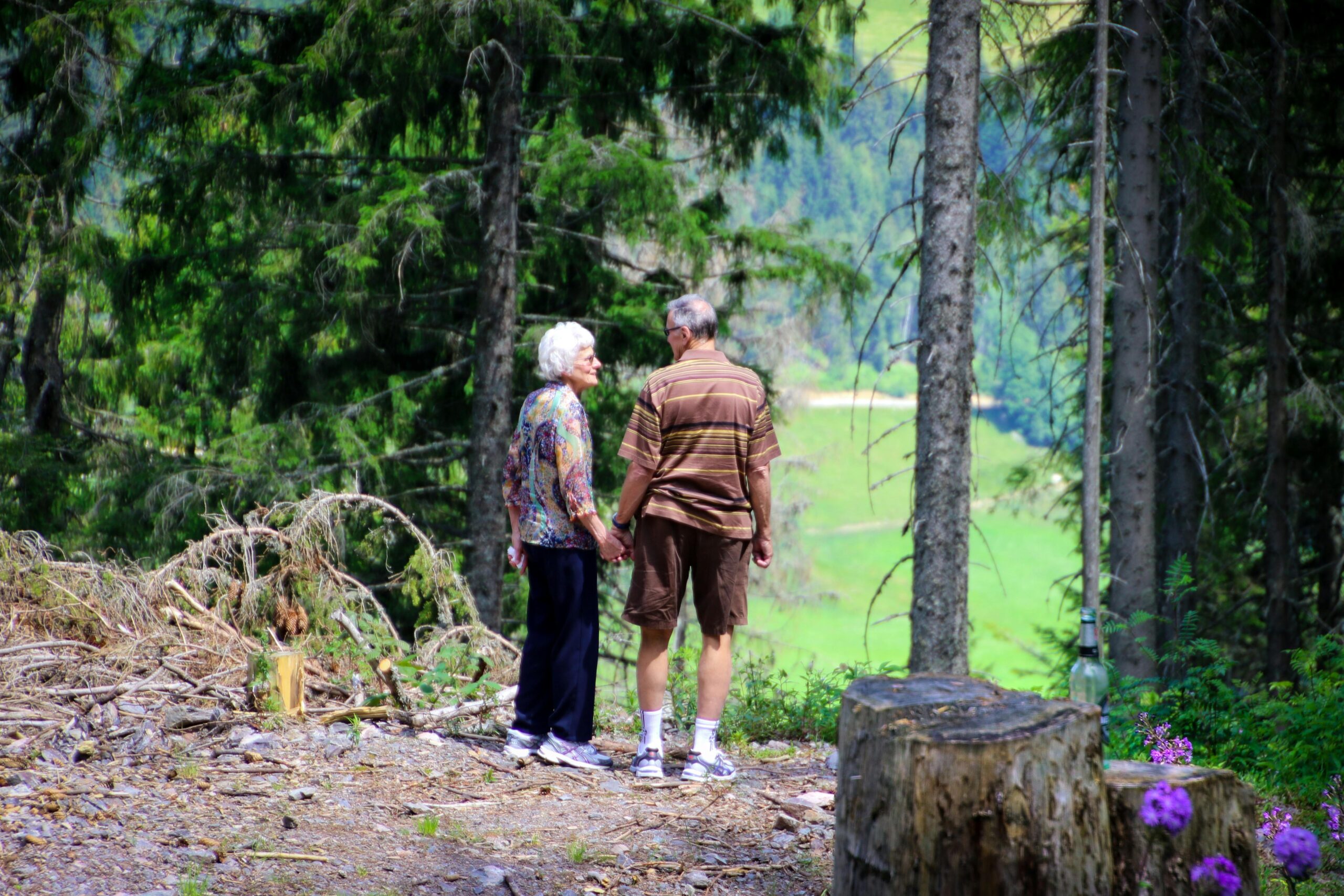 Zwei Leute, Die Im Wald Stehen