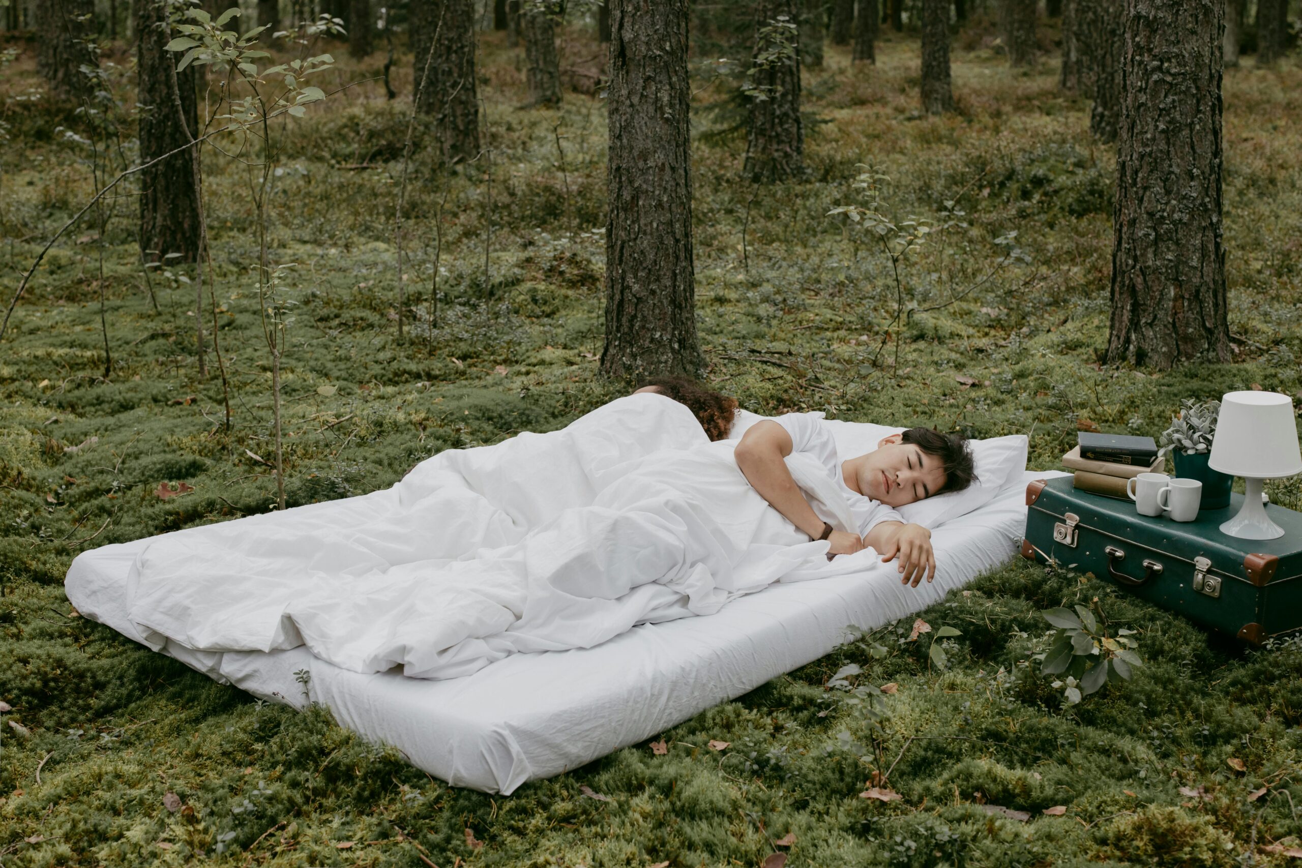 Kostenloses Stock Foto zu abenteuer, bäume, campen