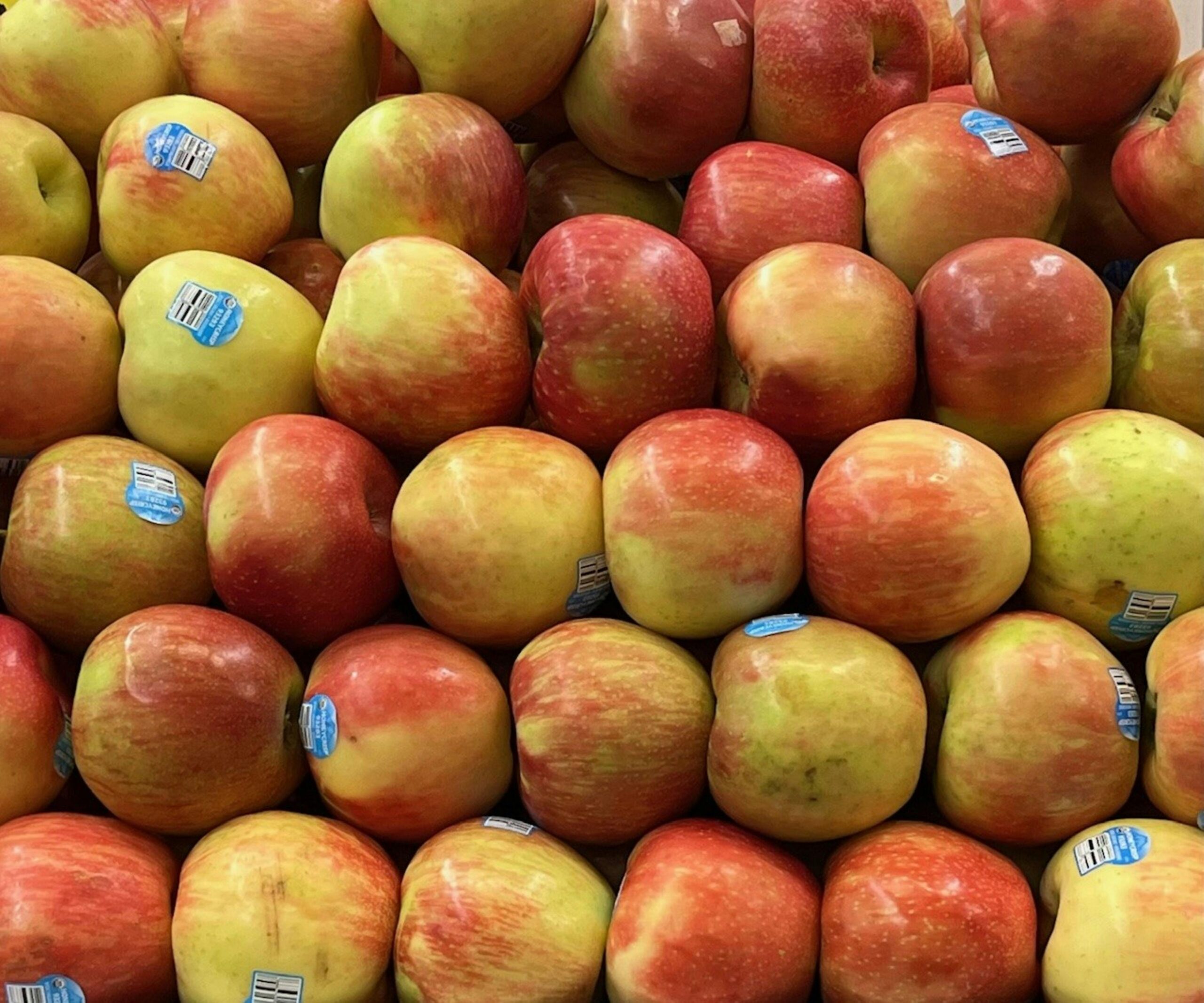 Kostenloses Stock Foto zu apfel, apfel nahaufnahme, apfelanbau