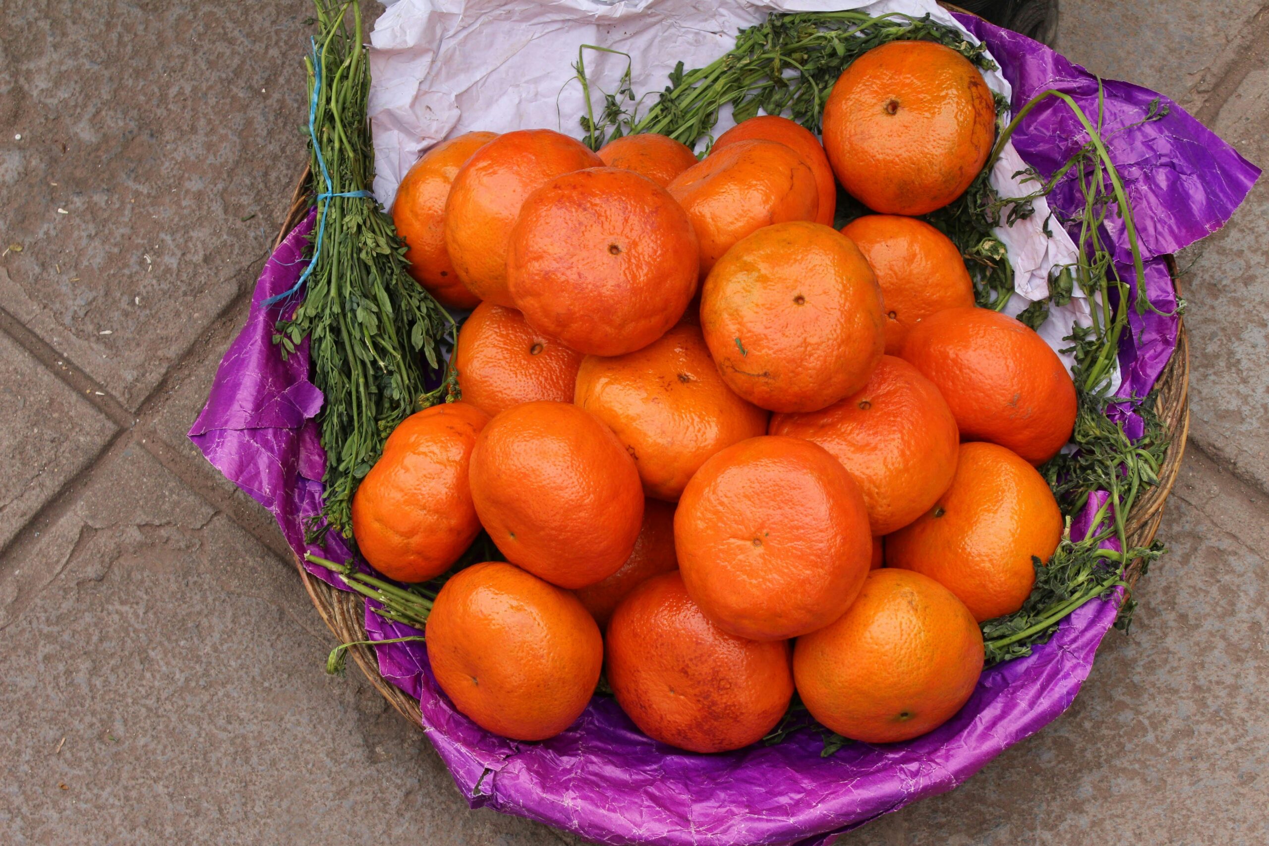 Die Bedeutung von Vitaminen und Nahrungsergänzungsmitteln