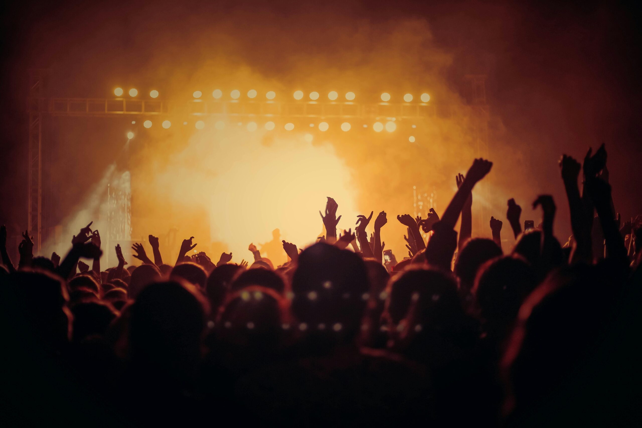 Leute Beim Konzert