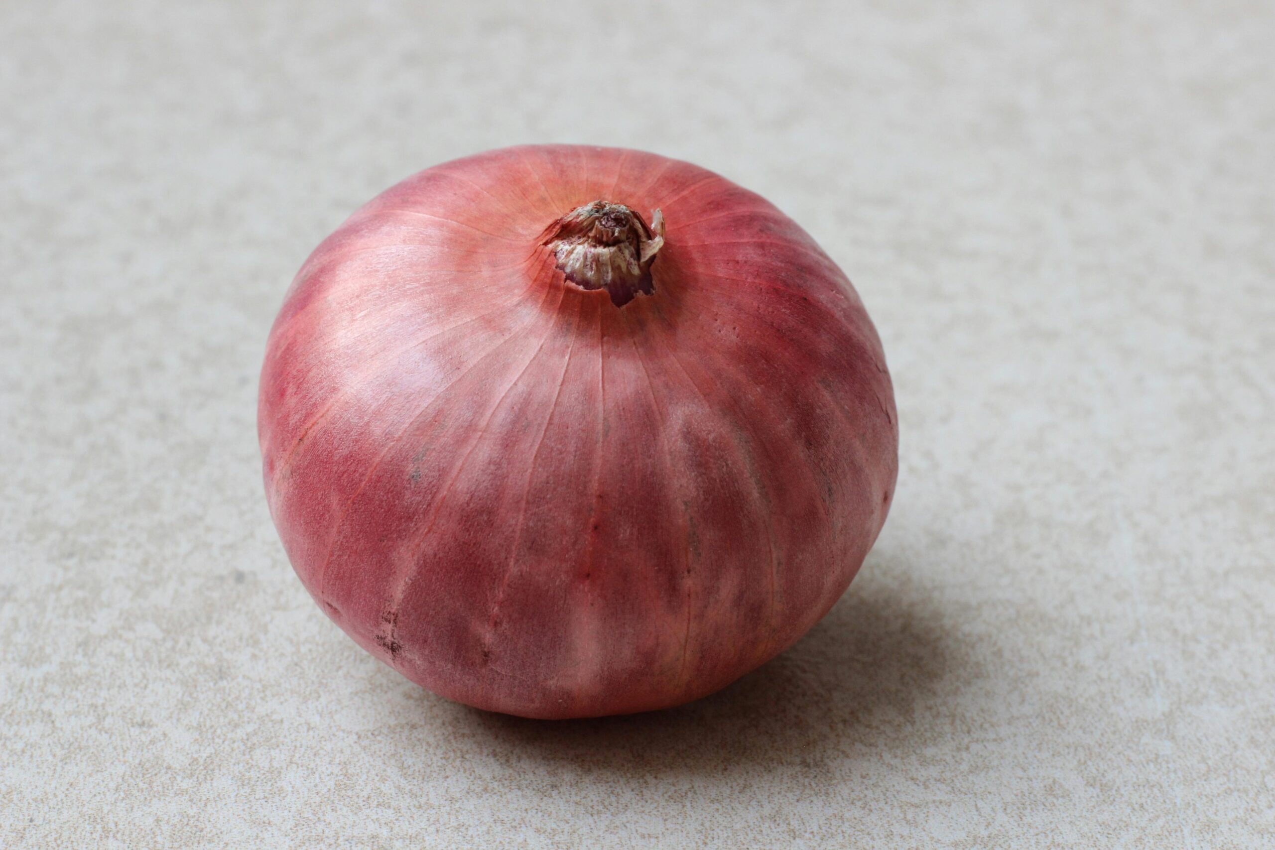 Kostenloses Stock Foto zu allium cepa, bauernhof frisch, botanisch